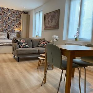 Studio 28M2 Avec Parking Prive - Lycee Roosevelt - Arena - Gare